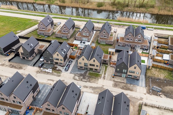 62-Moerasorchidee 13 - Lelystad.jpg